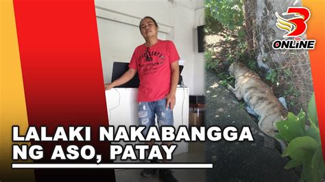 lalake kinantot ang aso|Alagang aso, patay nang saksakin ng Korean national sa Maynila.